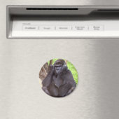 Grumpy Gorilla Magneet (Insitu (Vaatwasser))