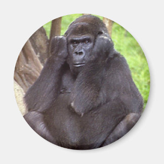 Grumpy Gorilla Magneet