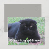 Grumpy-kaart Briefkaart (Voorkant / Achterkant)