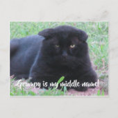 Grumpy-kaart Briefkaart (Voorkant)