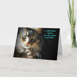 Grumpy Kat eet Birdy verjaardagskaart Kaart