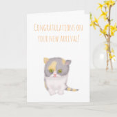 Grumpy Katie new kitten felicitcard Kaart (Gele Bloem)