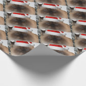 Grumpy kerstkat cadeaupapier (Hoek)