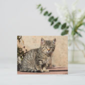 Grumpy Kitten Briefkaart (Staand voorkant)