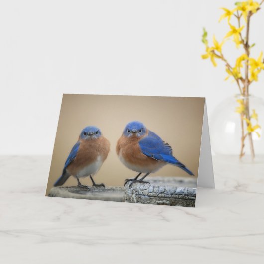 Grumpy kleine mannen kaart (Gele Bloem)