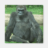 Grumpy Lowland Gorilla Magneet (Voorkant)