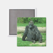 Grumpy Lowland Gorilla Magneet (Voorkant / Achterkant)