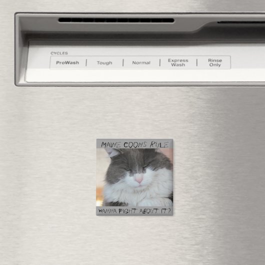 Grumpy Maine Coon Cat Magneet (Insitu (Vaatwasser))