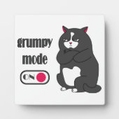 Grumpy mode op een rare vetkat fotoplaat (Voorkant)
