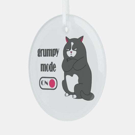 Grumpy mode op een rare vetkat glas ornament (Voorkant links)