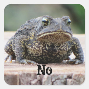 Grumpy Old Toad op een pomp Vierkante Sticker