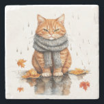 Grumpy Orange Cat in Rain Stenen Onderzetter<br><div class="desc">Grumpy Orange Cat in Rain</div>