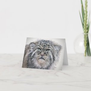 Grumpy Pallas Cat notecard Bedankkaart