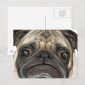 Grumpy Puggy Gifts Briefkaart (Voorkant / Achterkant)