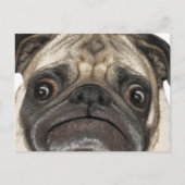 Grumpy Puggy Gifts Briefkaart (Voorkant)