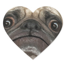 Grumpy Puggy Gifts