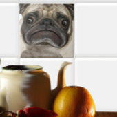Grumpy Puggy Gifts Tegeltje