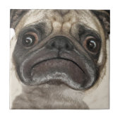 Grumpy Puggy Gifts Tegeltje (Voorkant)