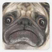 Grumpy Puggy Gifts Vierkante Sticker (Voorkant)