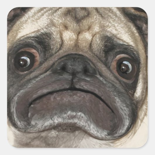 Grumpy Puggy Gifts Vierkante Sticker (Voorkant)