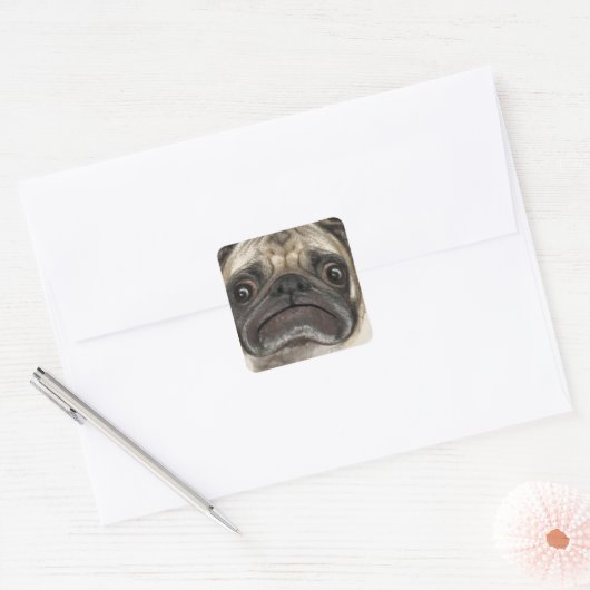 Grumpy Puggy Gifts Vierkante Sticker (Envelop)