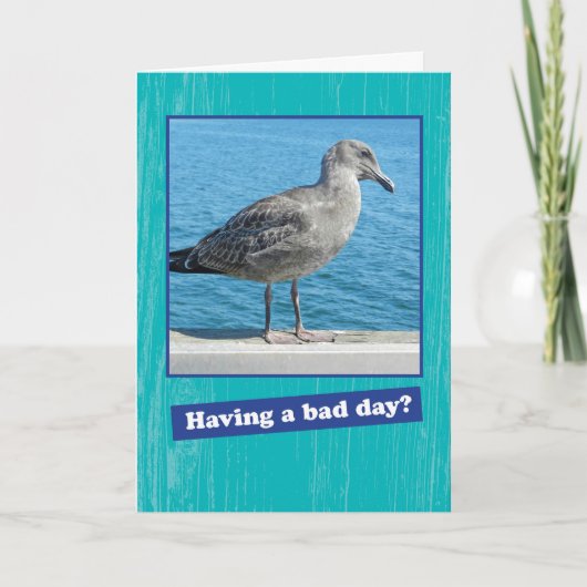 Grumpy Seagull met een Kaart voor slechte dag (Voorkant)