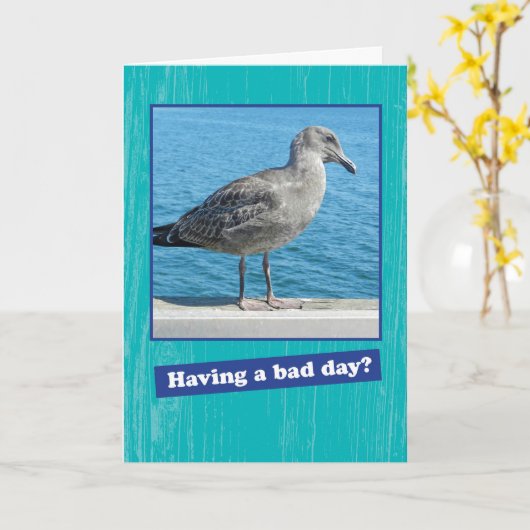 Grumpy Seagull met een Kaart voor slechte dag (Gele Bloem)