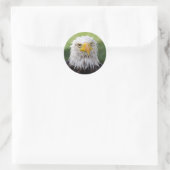 Grumpy & Soggy Bald Eagle Ronde Sticker (Tas)