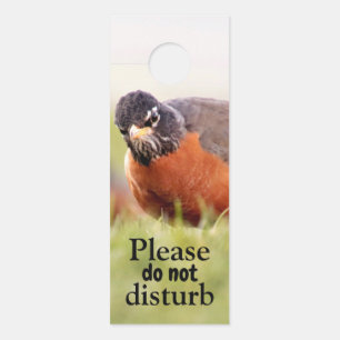 Grumpy vogel niet storen deur hanger