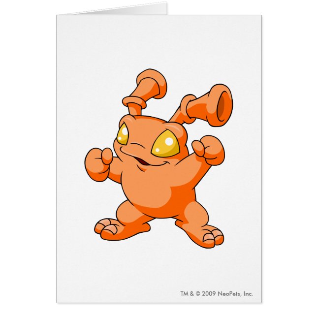 Grundo Oranje (Voorkant)