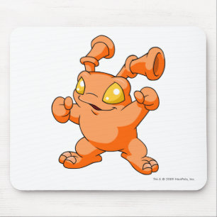 Grundo Oranje Muismat