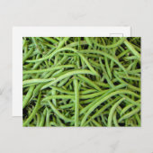 grüne Bohnen Briefkaart (Voorkant / Achterkant)
