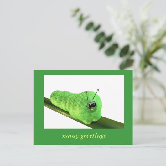 Grüne Raupe Briefkaart (Staand voorkant)