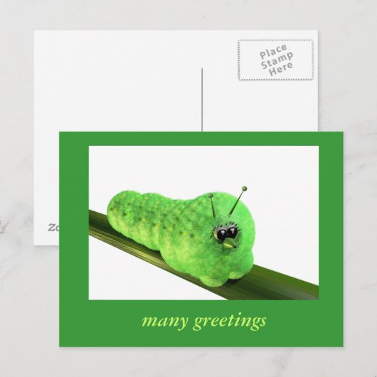 Grüne Raupe Briefkaart (Voorkant / Achterkant)