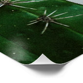 Grüner Kaktus vor weißer Wand Perfect Poster (Hoek)