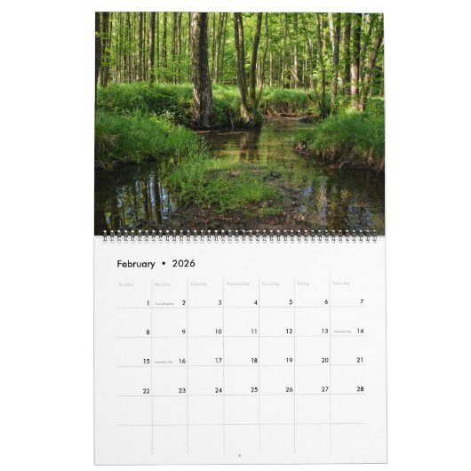 Grüner Wald Kalender (Feb 2026)