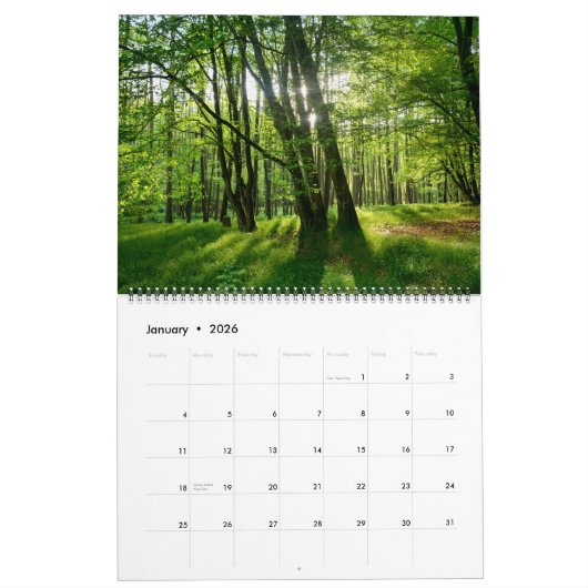Grüner Wald Kalender (Jan 2026)