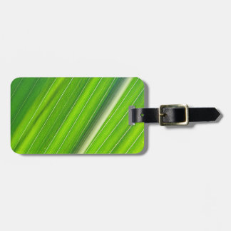 Grünes Maisblattdesign Bagagelabel