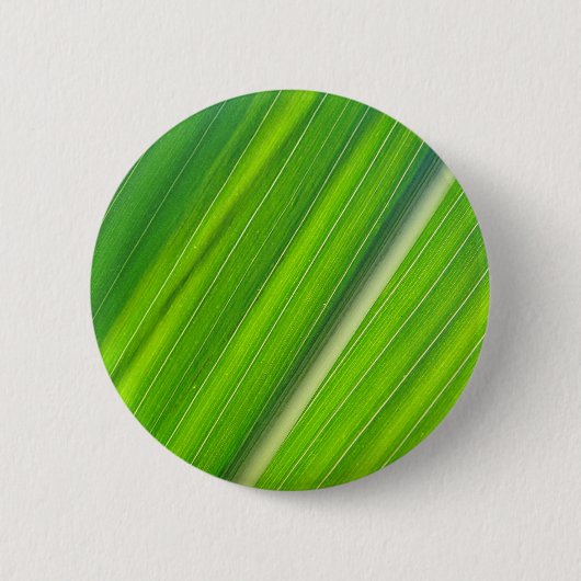 Grünes Maisblattdesign Ronde Button 5,7 Cm (Voorkant)