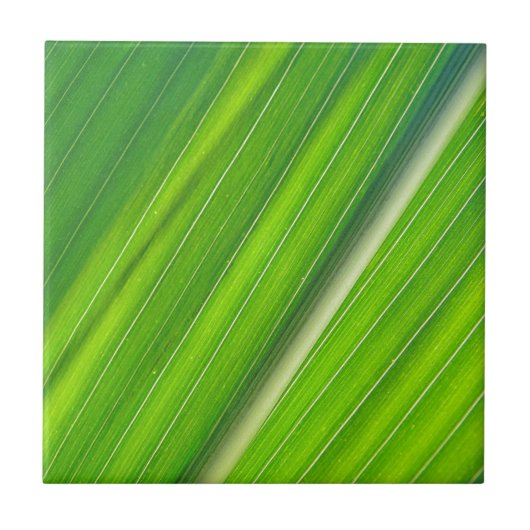 Grünes Maisblattdesign Tegeltje (Voorkant)