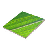 Grünes Maisblattdesign Tegeltje (Zijkant)