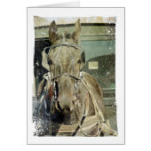 Grunge Amish Buggy Horse (Voorkant)