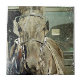 Grunge Amish Buggy Horse Tegeltje (Voorkant)