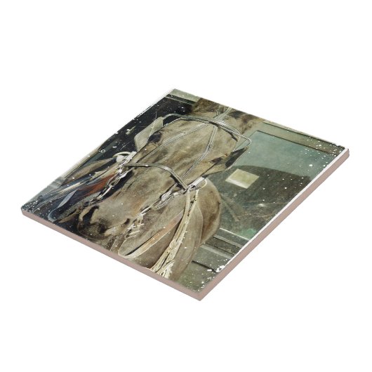 Grunge Amish Buggy Horse Tegeltje (Zijkant)