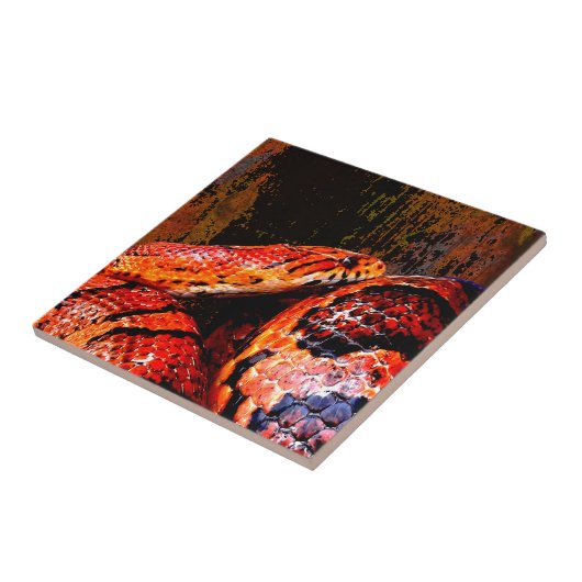 Grunge Corn Snake Coiled Tegeltje (Zijkant)