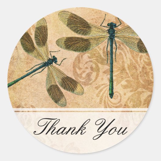  Grunge Damask Dragonflies Ronde Sticker (Voorkant)