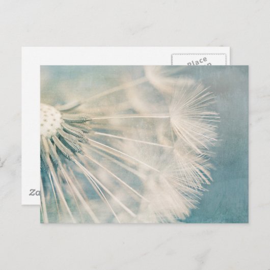 Grunge Dandelion Briefkaart (Voorkant / Achterkant)