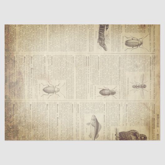 Grunge French Dictionary Page Tissuepapier (Voorkant)