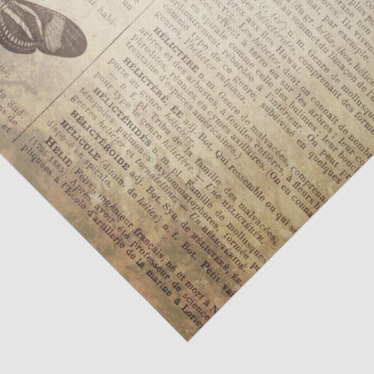 Grunge French Dictionary Page Tissuepapier (Detail)