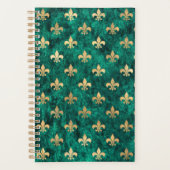 Grunge Green Velvet Fleur De Lis Mardi Gras Planner (Voorkant)